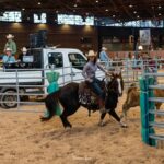 2022-10 - Equita Lyon - Tri de bétail - 028